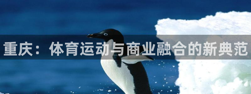 必威betway西汉姆联