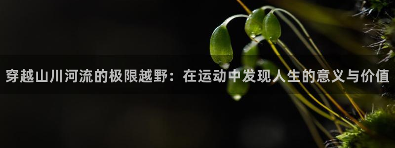 betway西汉姆官网