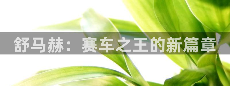 必威betway西汉姆联