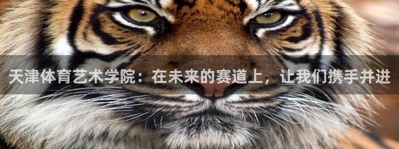 betway西汉姆