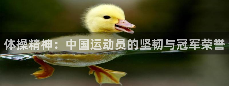 betway西汉姆