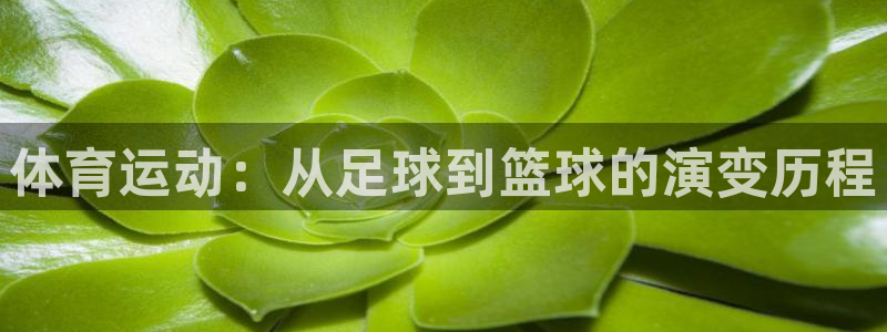 betway西汉姆