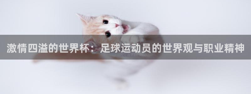 betway西汉姆联